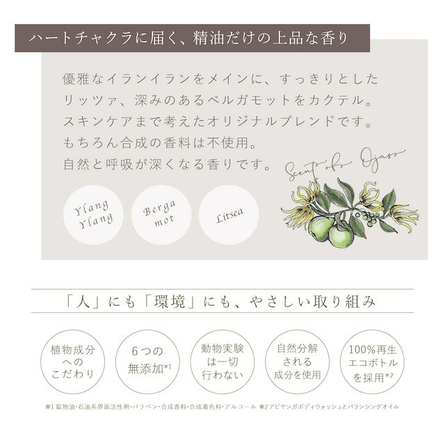 ARYURVIST アーユルヴィスト オイルピールクレンズ