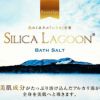 SILICA LAGOON BATHSALT(シリカラグーンバスソルト)50g